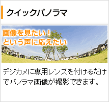 �N�C�b�N�p�m���}